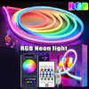 LED Neon Rope Light – 5 Meters IC RGB Smart Strip (App Controlled)