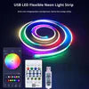 LED Neon Rope Light – 5 Meters IC RGB Smart Strip (App Controlled)